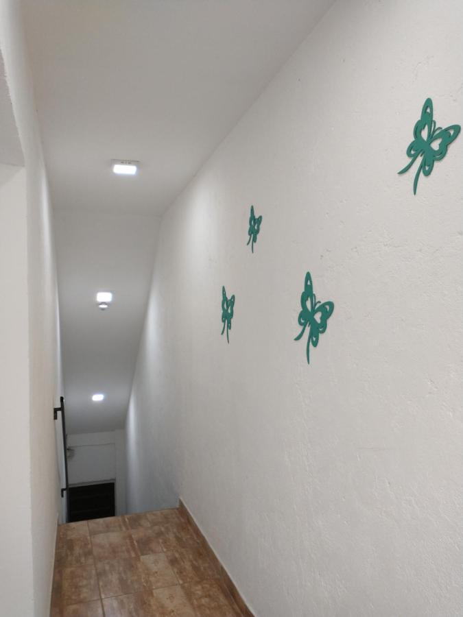 Departamentos Pachamama Apartment ตูนูยัน ภายนอก รูปภาพ